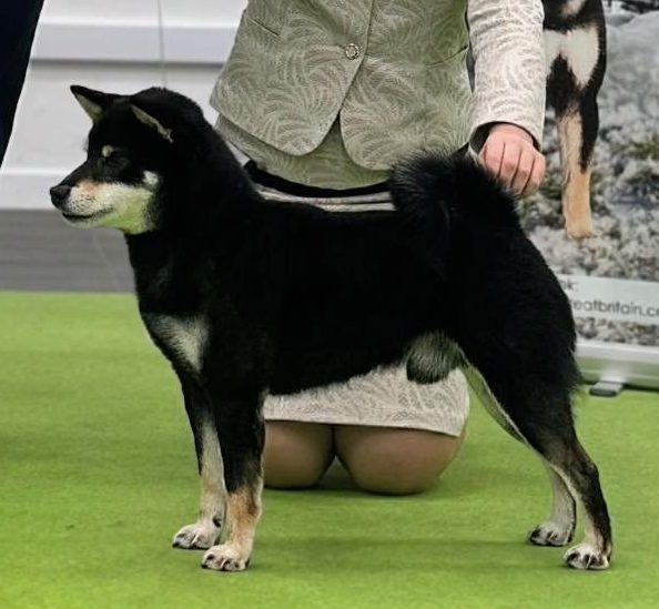 Akai Hana A'Hikeru Black Tekehiro No Lacsar